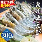 泉州車えび 300g
