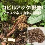 ふるさと納税 掛川市 ジャコウネコ由来の希少コーヒー 野生コピルアック珈琲・掛川自家焙煎で丁寧に仕上げた贈答品 100g