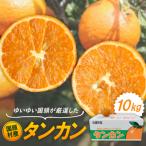 タンカン 10kg