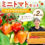 fu.... налог .. город мини помидоры комплект ( случайный набор ) примерно 2 kilo 