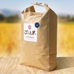 無洗米 令和7年度産米 金芽米特別栽培米農林48号 10kg
