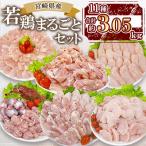 産若鶏まるごとセット 約3.05kg