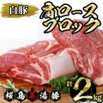 桜島 美湯豚 白豚 肩ロース ブロック 約2kg