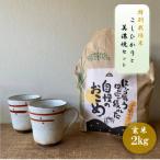 ふるさと納税 多治見市 【令和7年産:玄米】特別栽培米コシヒカリ(2kg)+【美濃焼】赤絵かいらぎマグカップ(2個)