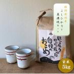 特別栽培米コシヒカリ 5kg