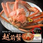訳あり茹で越前ガニ 500g以上×1杯