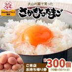 さかもとのたまご ご来店お持ち帰り用券 合計300個