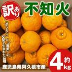 ショッピングふるさと納税 先行予約 ふるさと納税 阿久根市 【先行予約2026年3月上旬〜発送】訳あり不知火(デコポン)約4kg【古田果樹園】akn093-03