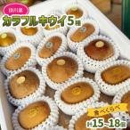 fu.... налог . река город . река производство красочный киви 5 вид *15 шт ~18 шт. комплект : киви фрукты Country Japan 5887