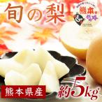 ふるさと納税 山鹿市 旬の梨(幸水・豊水・秋月・新高・新興・秋麗・甘太・凛果・にっこり・愛宕のいずれか)約5kg(山鹿市)