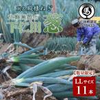 fu.... налог внизу . рисовое поле блок другой название [ dono sama лук порей ] большой . сельское хозяйство .. внизу . рисовое поле .(LL 1 1 шт. )