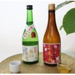 純米酒 飛鳥山みりんセット
