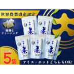 希少品種茶こみなみ 水出し煎茶ティーバッグ詰合せ 4g×20