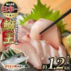 鰤王のフィレ 1枚