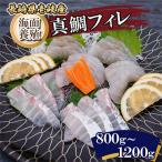 海面養殖マダイフィレ 冷凍発送