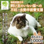 飼い主のいないねこと地域の人が幸せに暮らせるまちづくり…