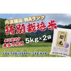 新米予約 減農薬 特A 丹波篠山産 特別栽培米