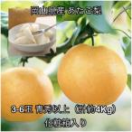 あたご梨3-6玉 青秀以上 約4kg