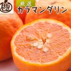 厳選 カラマンダリン10kg+250g