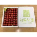 fu.... налог Nakayama блок [. мир 8 год производство предшествующий прием ] Yamagata префектура Nakayama блок производство высота сахар раз midi помидор [sintis.-to] примерно 2kg