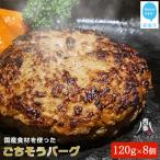 ふるさと納税 新居浜市 ハンバーグ 国産食材のごちそうバーグ(約120g×8個) 冷凍【お肉博士がいるお店】