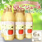 サンふじ 100% りんごジュース 1000ml×6本