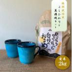 ふるさと納税 多治見市 【令和7年産:玄米】特別栽培米コシヒカリ(2kg)+【美濃焼】青輝貫入マグカップ(2個)