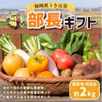 道の駅うきは 旬の果物と野菜の詰め合わせ 約2kg