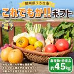 道の駅うきは これでもか 旬の農産物セット 約4.5kg