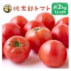 桃太郎トマト 12玉前後