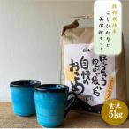 ふるさと納税 多治見市 【令和7年産_玄米】特別栽培米コシヒカリ(5kg)+【美濃焼】青輝貫入マグカップ(2個)