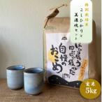特別栽培米コシヒカリ 5kg