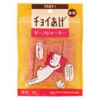 ビーフジャーキー 60g×10P