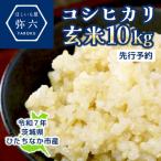 ふるさと納税 ひたちなか市 【先行予約・9月以降順次発送】令和7年ひたちなか市産 コシヒカリ(玄米)【10kg】