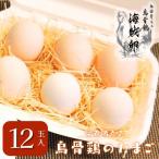 fu.... налог сейчас . город [ Ehime производство ] море . яйцо [.. куриное яйцо ]12 шт [VB01500]