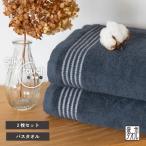ふるさと納税 泉佐野市 シルキータッチ バスタオル ネイビー 2枚 G3112