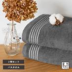 ふるさと納税 泉佐野市 シルキータッチ バスタオル チャコール 2枚 G3113