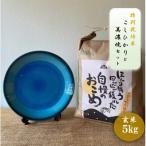 特別栽培米コシヒカリ 5kg