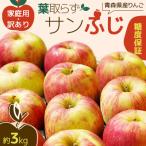 りんごサンふじ訳あり りんご