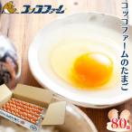 コッコファームのたまご 80個入