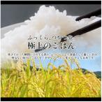 令和8年産 米 玄米 きぬむすめ 5kg