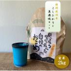 ふるさと納税 多治見市 【令和7年産:玄米】特別栽培米コシヒカリ(2kg)+【美濃焼】青輝貫入湯呑(2個)