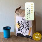 ふるさと納税 多治見市 【令和7年産:玄米】特別栽培米コシヒカリ(5kg)+【美濃焼】青輝貫入湯呑(2個)