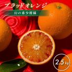 ホリ田ヤ せとか 2.5kg