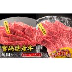 黒牛 焼肉セット 肩ロース 三角バラ 2点盛り 560g