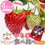 Agri charmのいちご食べ比べセット