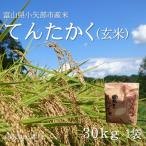 ふるさと納税 小矢部市 【2025年9月上旬頃から順次発送】令和7年産米「てんたかく」(玄米)30kg×1袋