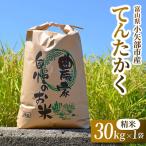 令和8年産米 てんたかく 精米 30kg×1袋