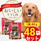 おいしい牛干し肉 80g×48袋
