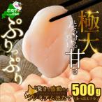ふるさと納税 別海町 【希少プレミアム】わずか3%贅沢極大ホタテ貝柱500g 北海道野付産ならでは ホタテといえば別海